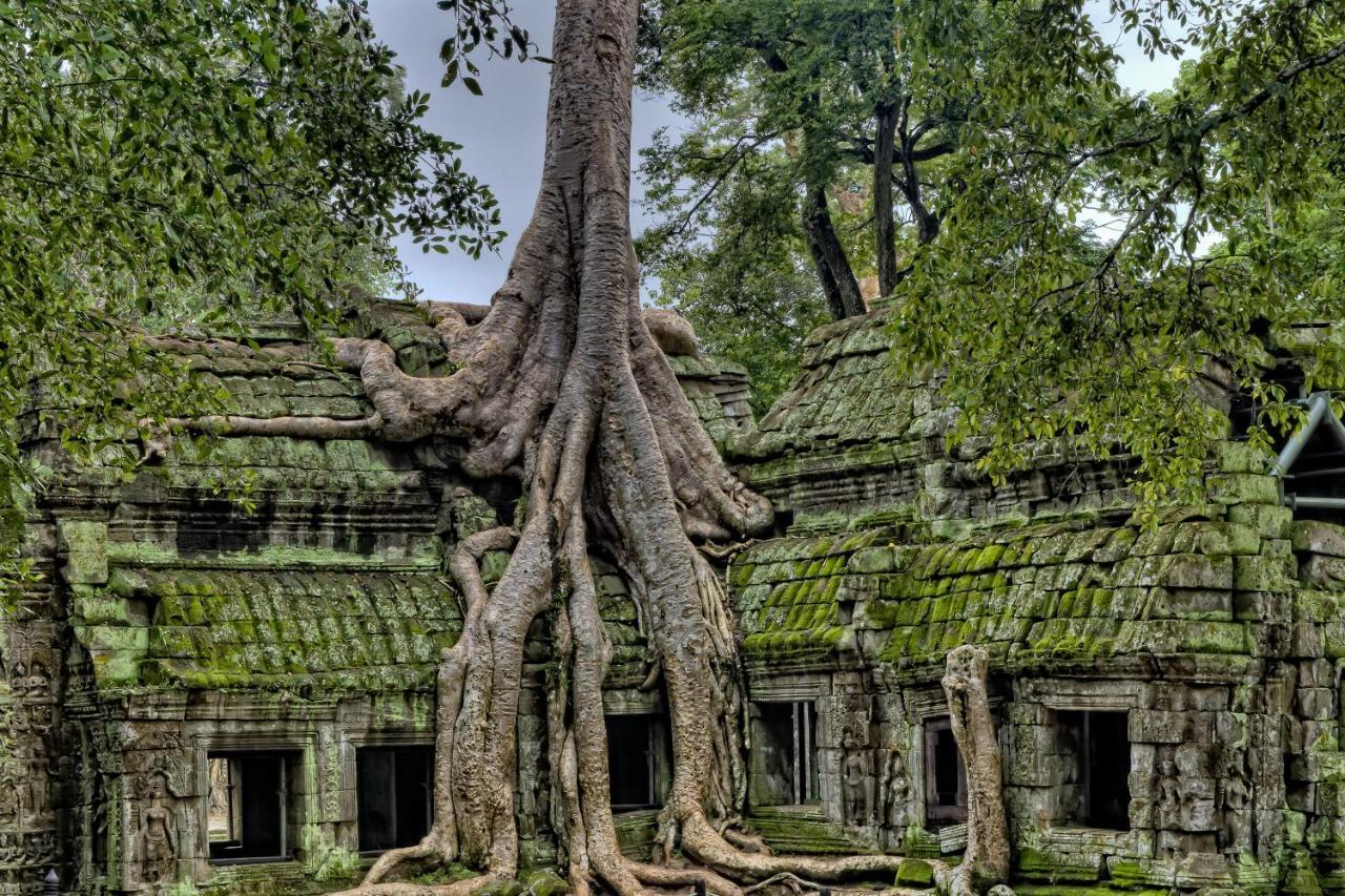 Golden Temple Residence Siem Reap Exterior photo